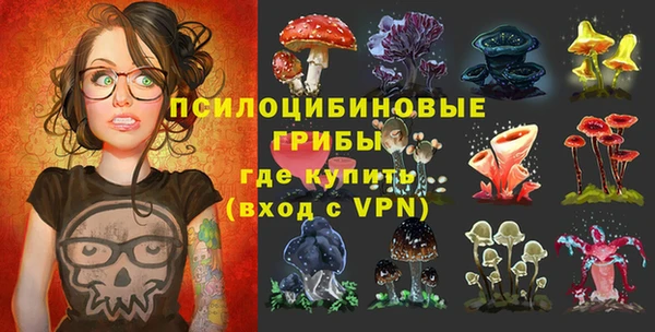 крисы Алексеевка