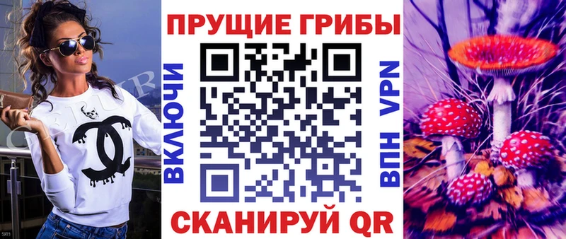 Галлюциногенные грибы мухоморы Светлоград